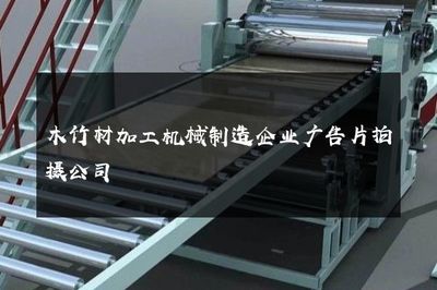 智造未來，共筑綠色家園——專業(yè)木竹材加工機(jī)械制造企業(yè)廣告片拍攝服務(wù)